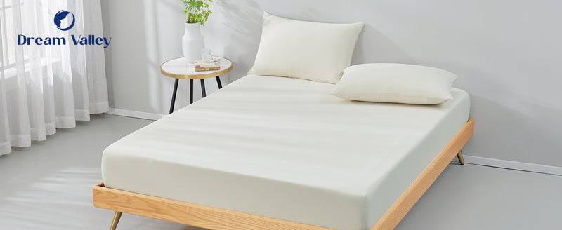 Deep Sleep Expert Empowered by Outlast